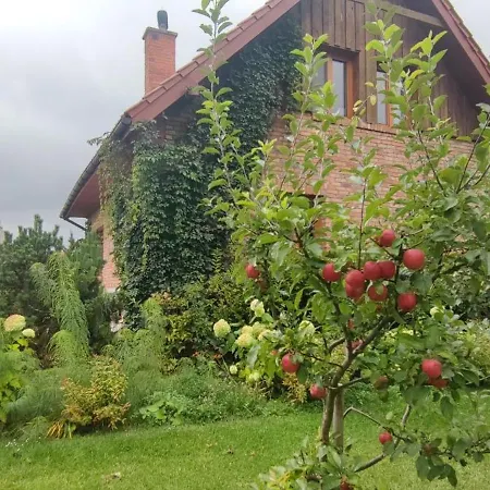 Villa Dom Rodzinny W Niedzwiedzim Rogu- Nad Sniardwami Niedzwiedzi Rog